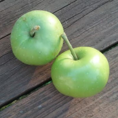 twelvetytwenty's profile picture. Dirt is under your nails.