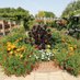 Rasell's Nurseries (@rasellsn) Twitter profile photo