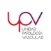 Unidad de Patología Vascular (@upvascular) Twitter profile photo Unidad de Patología Vascular (@upvascular) Twitter profile photo