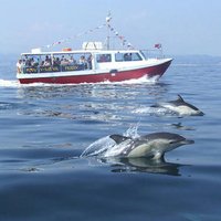 Mevagissey To Fowey Ferry(@mevaferry) 's Twitter Profile Photo