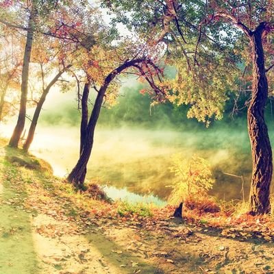 AdarshS47927680's profile picture. 