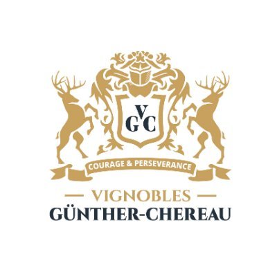 #VGCMuscadet Véronique Gunther Chereau, Vigneronne en #muscadet #loirelover #winelover