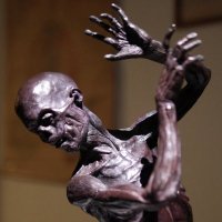 Eleanor Crook Sculpt (@crookeleanor) 's Twitter Profile