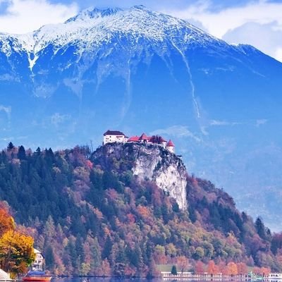 Algarnisaeed191's profile picture. 