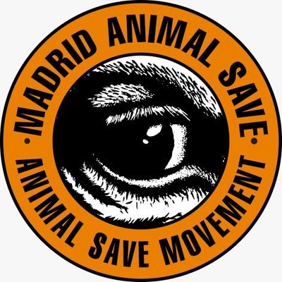 Save Movement es un movimiento global enfocado en acompañar a las víctimas de la explotación animal, así como en promover el antiespecismo y el veganismo.