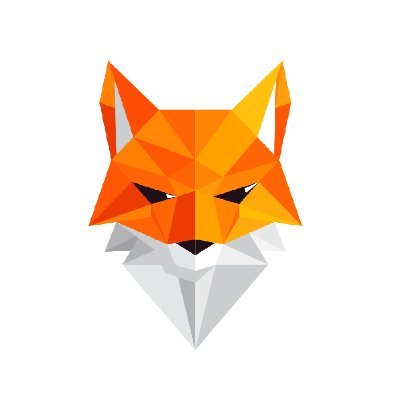 Fox Robotics Profile