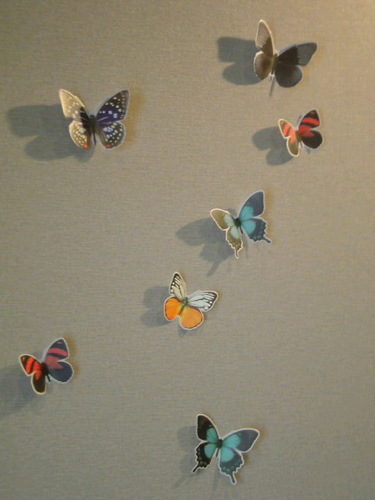 galacticdada's profile picture. 気まま　 R16→R17→R19→R17　主に食べる