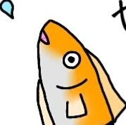めだかさんのプロフィール画像