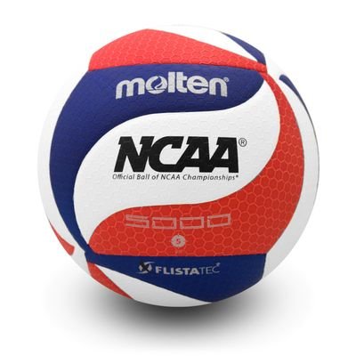 Following Section 2 boys and girls volleyball and local college teams