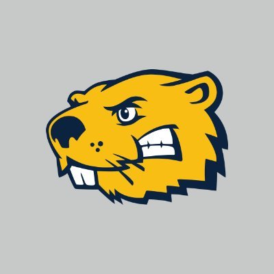 BVUAthletics Profile Picture