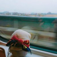 ひこ@取引垢 (@hikko333) 's Twitter Profile