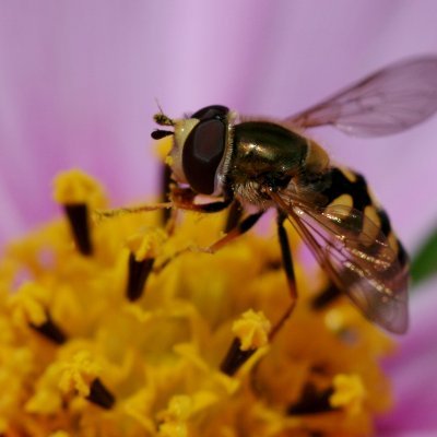 LiskeardStores's profile picture. Family owned convenience store in the small Cornish town of Liskeard.