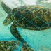 Awareness on plastics effects (@oneffects) Twitter profile photo Awareness on plastics effects (@oneffects) Twitter profile photo