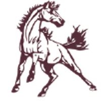 Meadow View Elementary School(@MV_Mustangs) 's Twitter Profile Photo