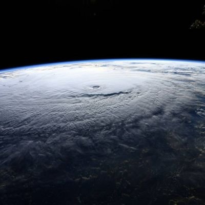 xDimer's profile picture. 