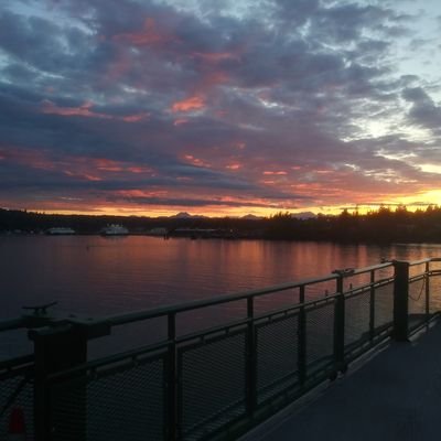 Online business owner, and developer. I`m from Seattle Washington, and live alone.