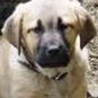 Ed Kochanowski (@egk) 's Twitter Profile