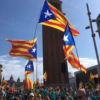 Independència. Sense censura a telegram: https://t.co/Y2ogFQwpbD