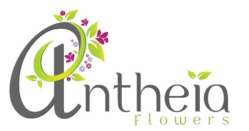 Image result for antheia flowers