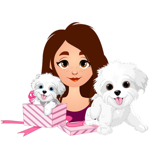 Maltese dog youtubers Obi-wan and Princess Leia
