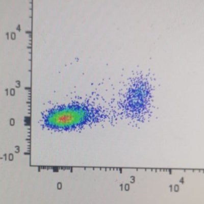 Immunology lab interested in regulation of immune responses to self and foreign. Views and opinions are those of lab members.