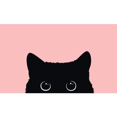 fatma_elrefey's profile picture. 