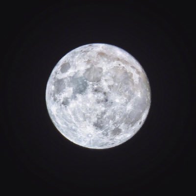 LongReason's profile picture. 我就是个好色的人而已