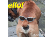 bradley abbott - @lordbuster - Twitter