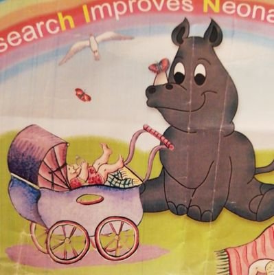 NNUH's Neonatal Research mascot 'Rainbow the RhINO' (Research Improves Neonatal Outcomes) - Achieving the best we can for our sick and premature babies.