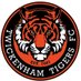 Twickenham Tigers FC ⚽️ (@twicktigersfc) Twitter profile photo
