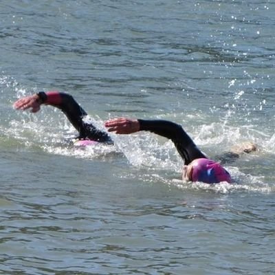 barrysomerset's profile picture. 