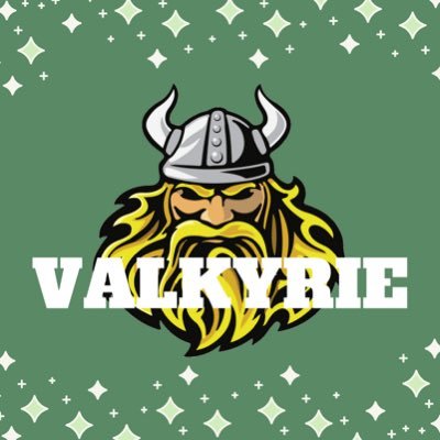 Where students research, report, and receive news about the Woodbridge community. The conversation starts here - #TheVikingStory New & improved WSHS Valkyrie!