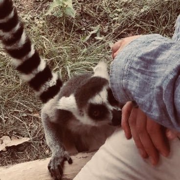 Lola12684121's profile picture. Végétarienne engagée pour l’environnement🌱