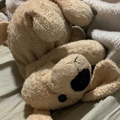 タオ。さんのプロフィール画像