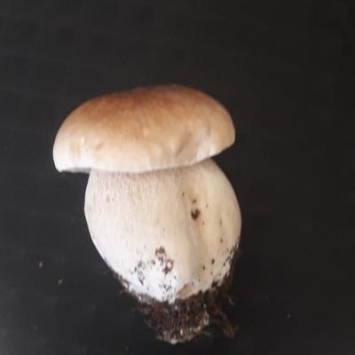 Oysterboy5's profile picture. gé tougeours eue anvi daitre aicryvin