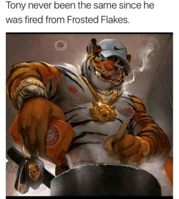 KNyck00's profile picture. Networking