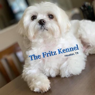 USMC Veteran Owned •Proud supporter of local dog rescues •Call 713-464-9852 #TeamFritz tweets not controlled by Pat