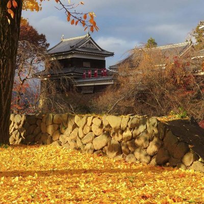 長野県上田市で行われている【うえだ城下町映画祭】の公式アカウントです。29回目となる2025年は11月21日(金)、22日(土)、23日(日)(予定)に開催します。