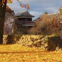 うえだ城下町映画祭 (@castletownff) 's Twitter Profile Photo うえだ城下町映画祭 (@castletownff) 's Twitter Profile Photo