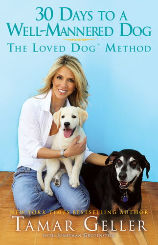 The Loved Dog is a Doggie Daycare, Cage-Free Boarding facility, and online training courses founded by the World Renowned dog coach Tamar Geller.