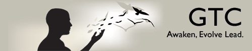 Enlightened Leadership; New Paradigms for Global Navigation; Personal Development; Conscious Business; Integral Solutions