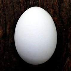 大庭葉蔵 理想の世界 L And P 49 Twitter 大庭葉蔵 理想の世界 L And P 49 Twitter