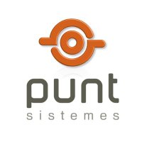 Punt Sistemes (@puntsistemes) 's Twitter Profile