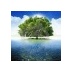 Yernasia Quorelios (@yernasia) Twitter profile photo Yernasia Quorelios (@yernasia) Twitter profile photo