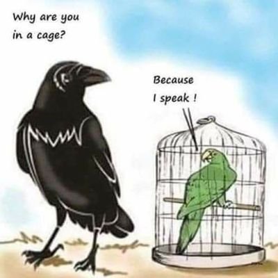 DevaRAM55875183's profile picture. My tweets are not in official capacity and retweets are not necessarily endorsement.