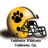 vhswildcats's profile image