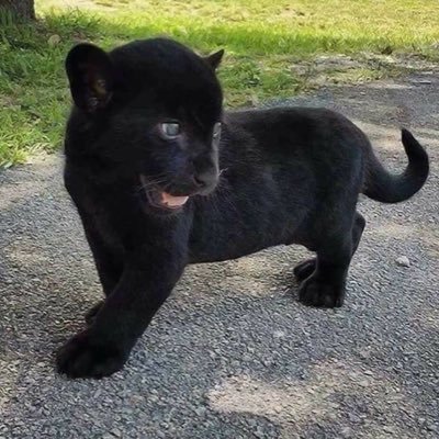 Alejand60458936's profile picture. Alejandro500