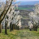 jamal hammoud - @jamjam19125 - Twitter