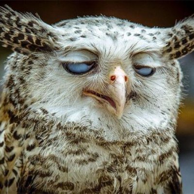 Kul70176943's profile picture. 