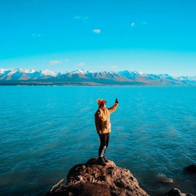 penguinfilm's profile picture. 